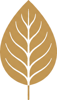 Traditional Bilona Process